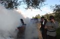 nebel (30)